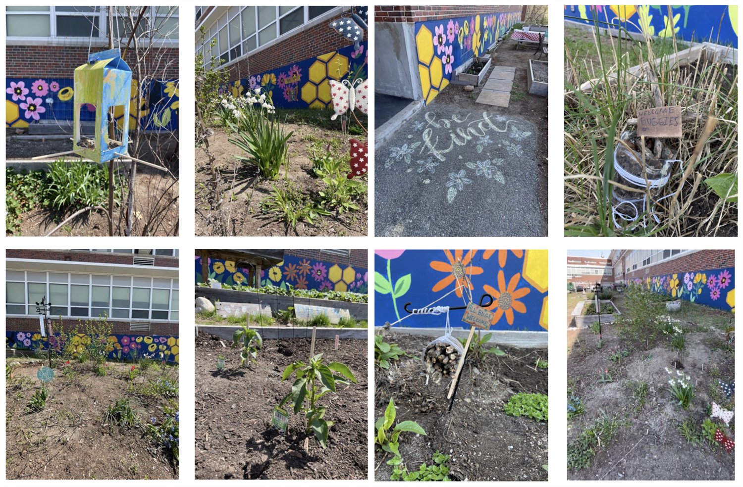 The Green Team got the Daley garden ready for harvest season